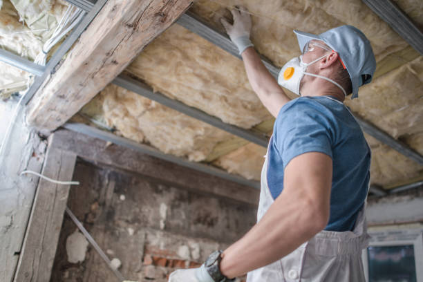Best Specialty Insulation in Riverside, UT